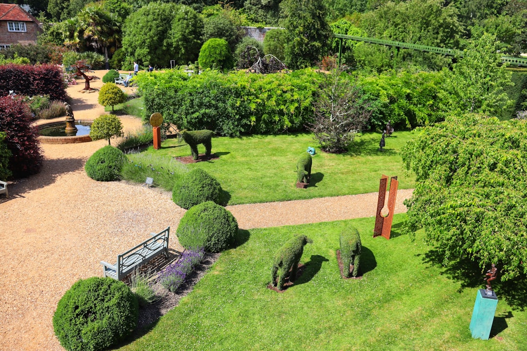 Modern Turkish Garden