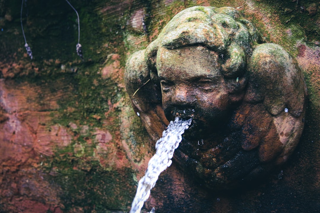 Garden Water Features